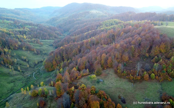 Munții Șureanu. Foto: Daniel Guță