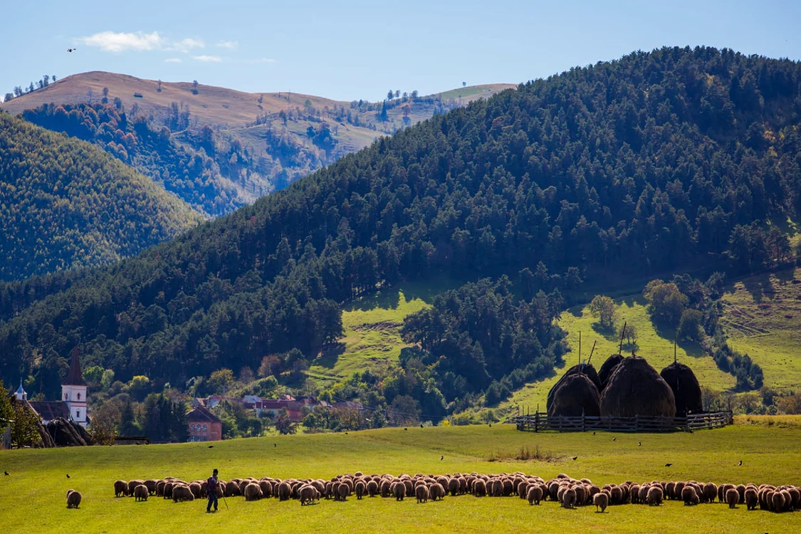 Tradiții în Rășinari comună din Mărginimea Sibiului Best Tourism Villaages Foto Proud to be romanian