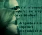 10 cristina topescu si andrei gheorghe interviu prima tv 08 jpg jpeg