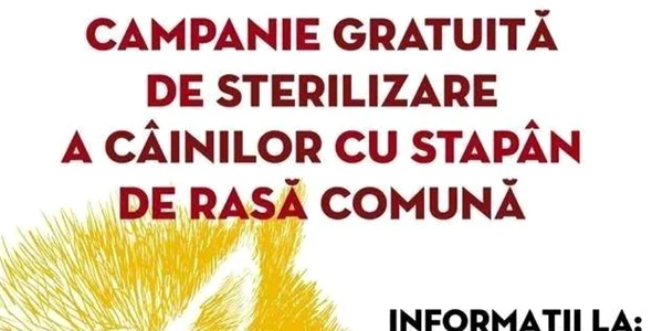 calarasi afis