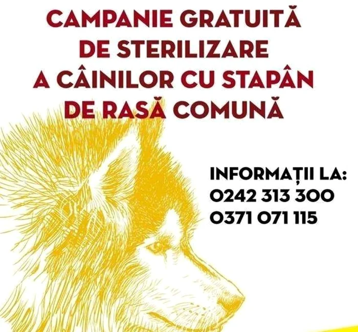 Campania se desfăşoară gratuit la Călăraşi FOTO Facebook/PMC