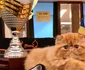 SofistiCAT de mai