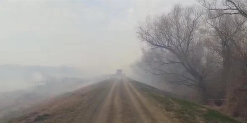 6239d0365163ec4271870e9d jpg