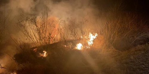 slobozia incendiu de vegetatie FOTO ISUI ialomita