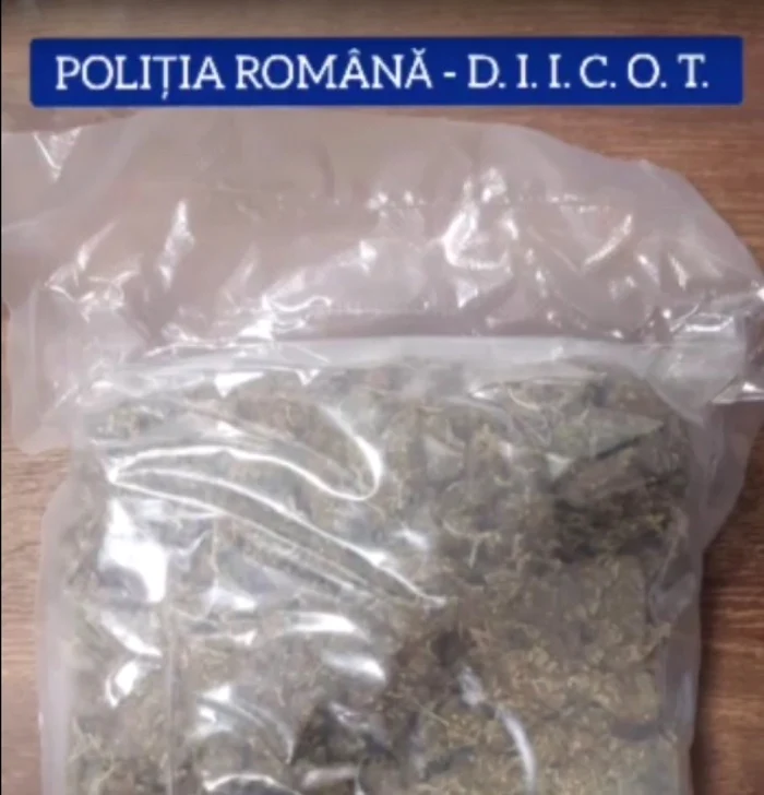 Aproape trei kilograme de cannabis au găsit poliţiştii în urma acţiunilor desfăşurate