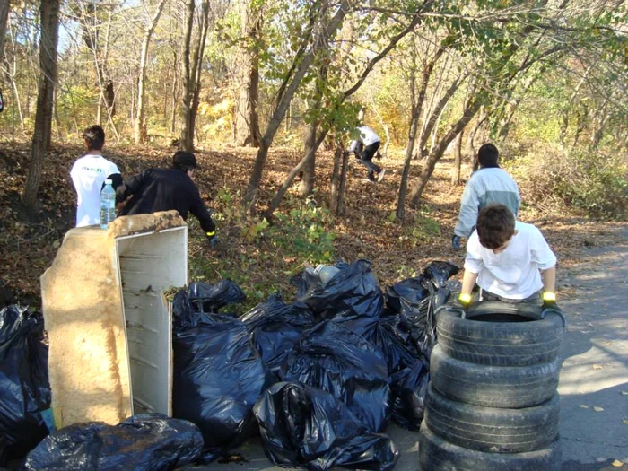 Sacii au fost preluaţi de Ecosal şi duşi la groapa de gunoi a oraşului. Foto: Adevărul