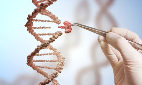 1 ce este boala progeria png png