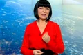 neti sandu png