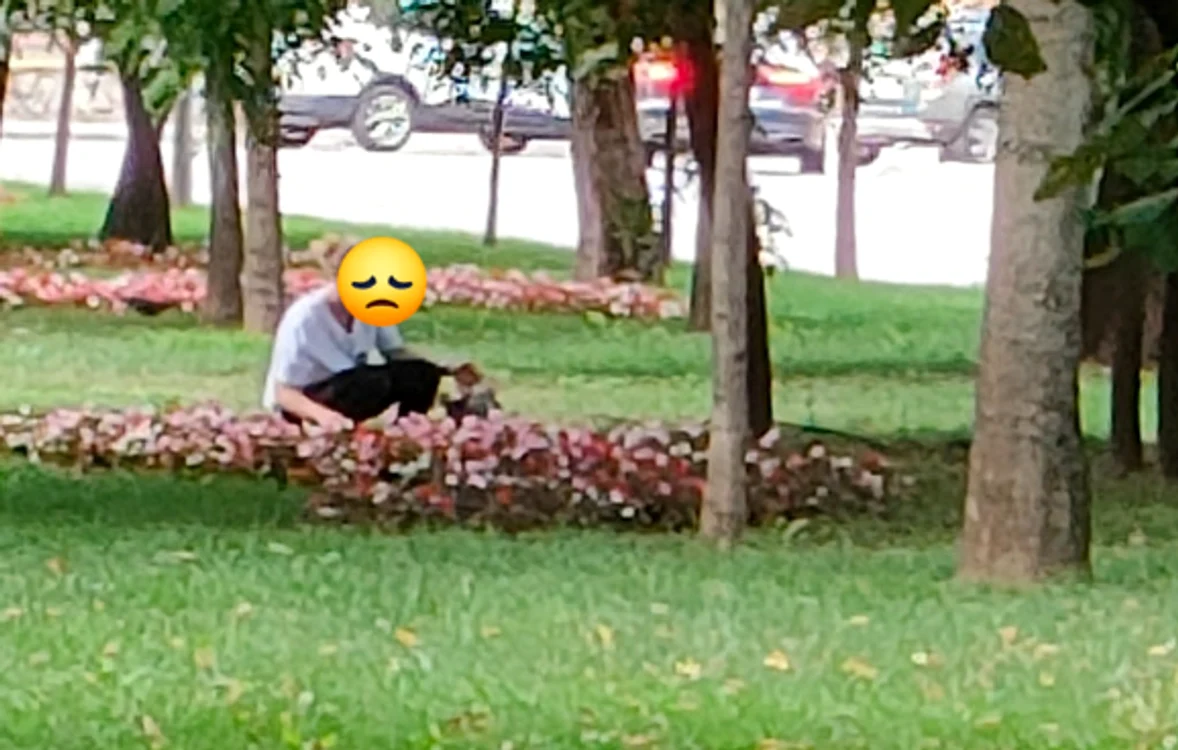 Femeia fură flori cu tot cu rădăcină dintr-un părculeț din Craiova. Foto: Facebook/ Poliția Locală