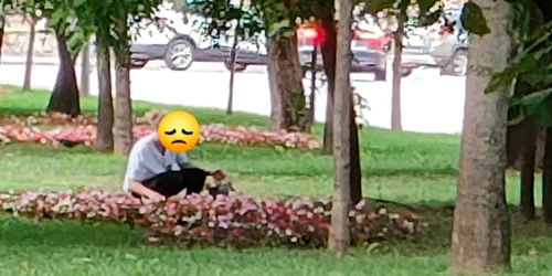 O femeie a fost văzută când fura flori dintr-un parc din Craiova. Foto: Poliția Locală Craiova/ Facebook 