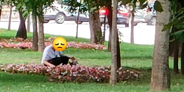 O femeie a fost văzută când fura flori dintr-un parc din Craiova. Foto: Poliția Locală Craiova/ Facebook 