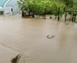 inundatii hd