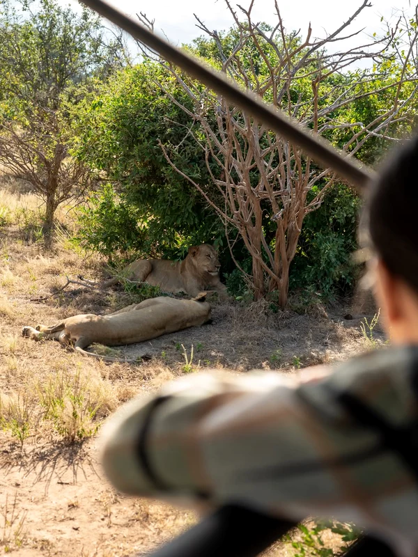 Imagini surprinse de cei doi vloggeri români din Zambia, Africa. Foto: Instagram