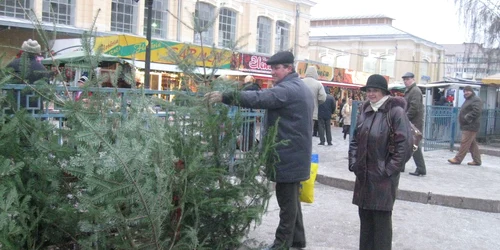 Botoşănenii vor fi nevoiţi să cumpere şi anul acesta molizi