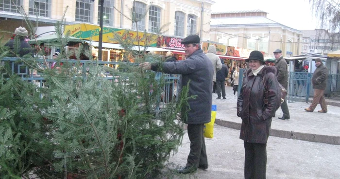 Botoşănenii vor fi nevoiţi să cumpere şi anul acesta molizi