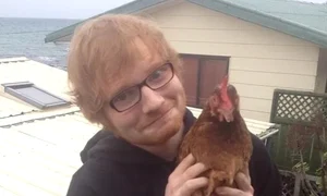 ed sheeran gaini jpeg