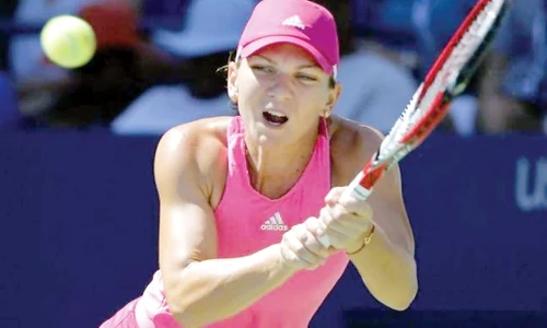 halep jpg jpeg