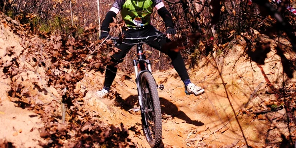 biciclete
