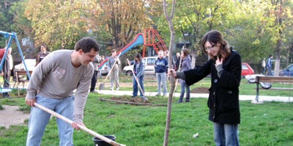 Pentru orice copac tăiat trebuie plantați alți doi puieți