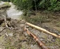 Valea Cernei și Cernișoarei, după inundatii Foto Daniel Guță ADEVĂRUL (35) jpg