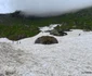 Transfăgărășan, iulie 2026 Foto Daniel Guță ADEVĂRUL (18) jpg