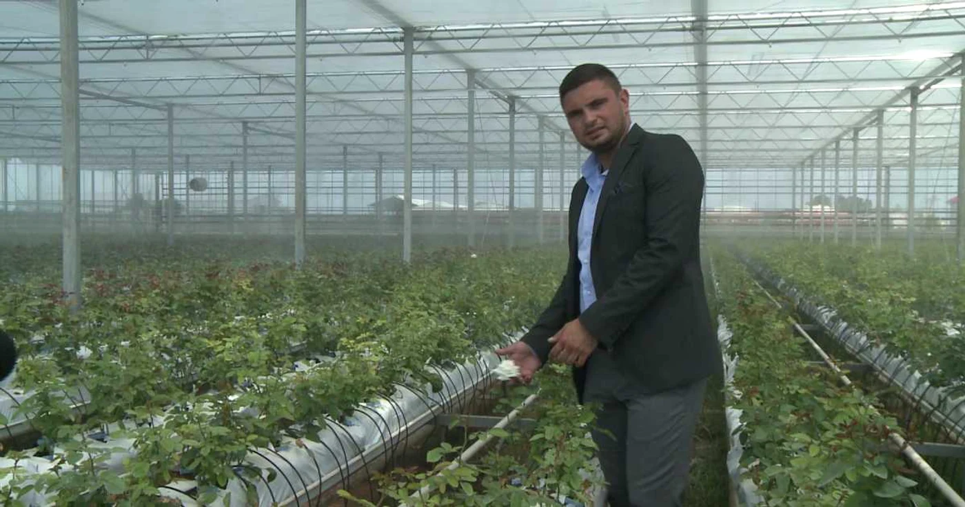 Investiţia este văzută cu ochi buni şi de autorităţi care se gândesc doar la faptul că Târgoviştea ar putea deveni capital europeană a trandafirului