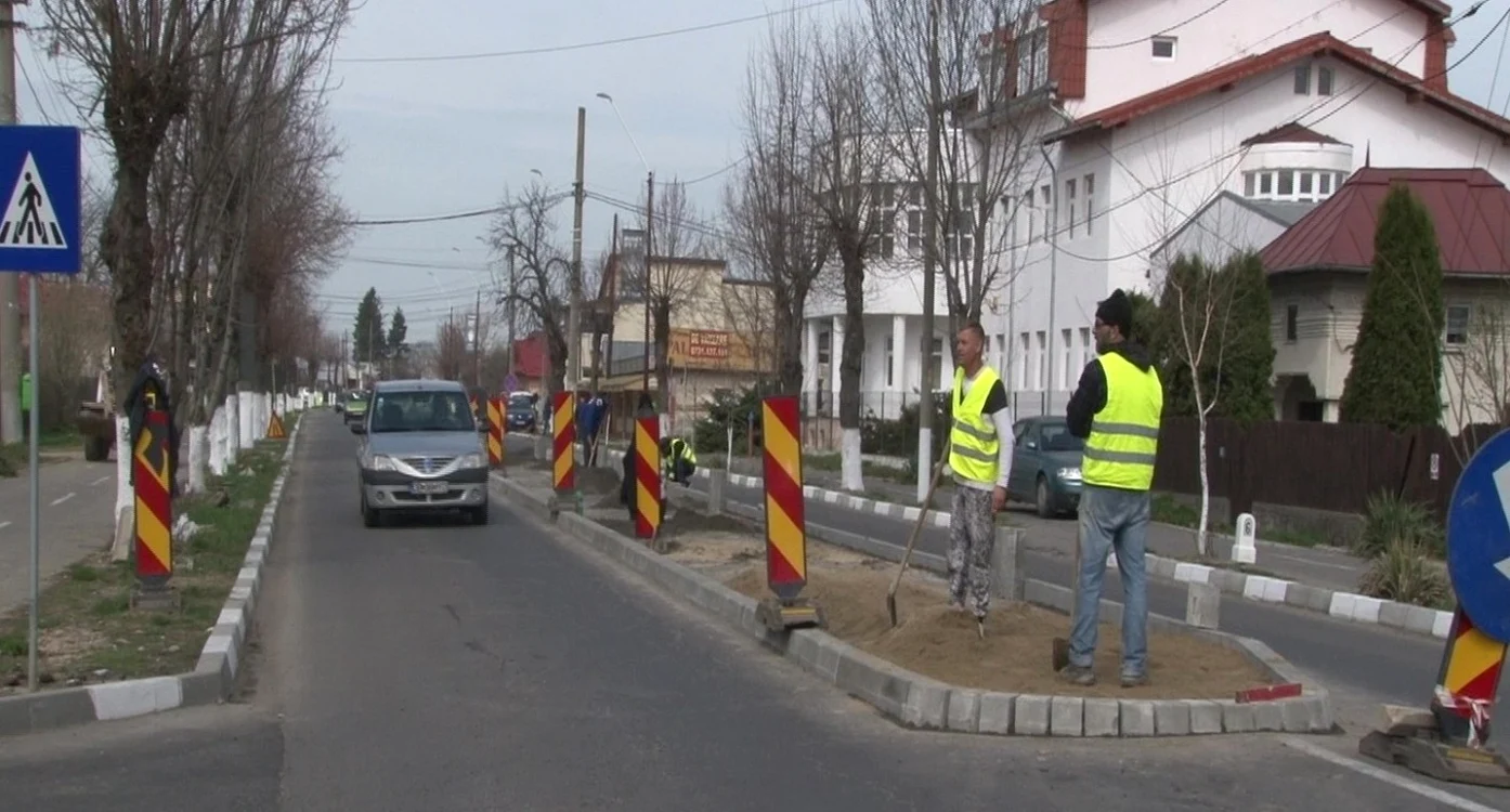 alveola dn 7 gaesti