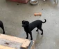 IMG 1918 jpg