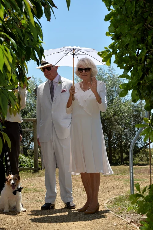 3 printul charles australia 2 jpg jpeg