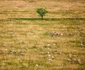 În Mălâncrav, oamenii se reconectează cu natura. FOTO: Radu Cristian