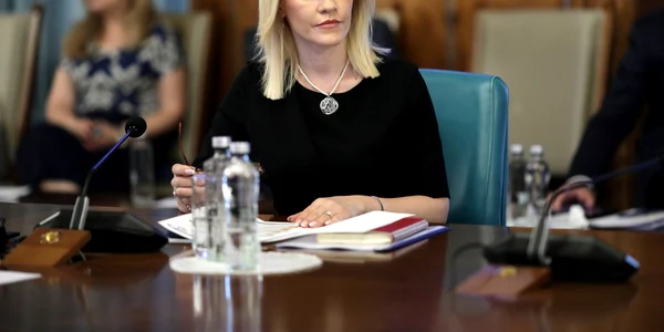 Gabriela Firea FOTO gov.ro