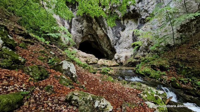 Peștera Cioclovina. Foto Daniel Guță