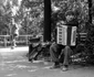 Muzician in Cismigiu foto Alfredo Padron jpeg