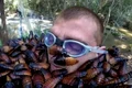 Lui Cătălin Moroșanu i s au turnat în cap gândaci, viermi, omizi şi alte târâtoare, la "Sunt celebru, scoate mă de aici"  jpeg