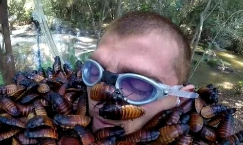 Lui Cătălin Moroșanu i s au turnat în cap gândaci, viermi, omizi şi alte târâtoare, la "Sunt celebru, scoate mă de aici"  jpeg