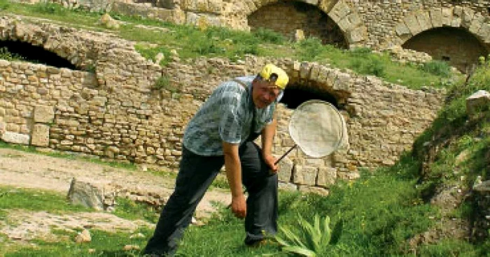 Părinţii speciilor noi