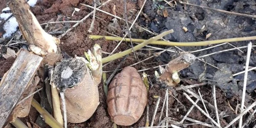 Grenadă descoperită într-un cimitir din Giurgiu FOTO ISU Giurgiu