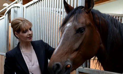 Principesa Maria Inalt Patronaj Salonului Calului Clubul Equestria Tancabesti 23 aprilie 2016 3 jpeg