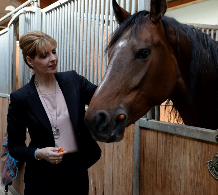 Principesa Maria Inalt Patronaj Salonului Calului Clubul Equestria Tancabesti 23 aprilie 2016 3 jpeg