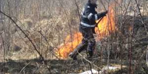 incendiu de padure carlibaba. FOTO