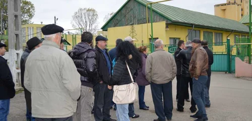 ulerom vaslui