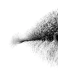 1 82840 original jpg png