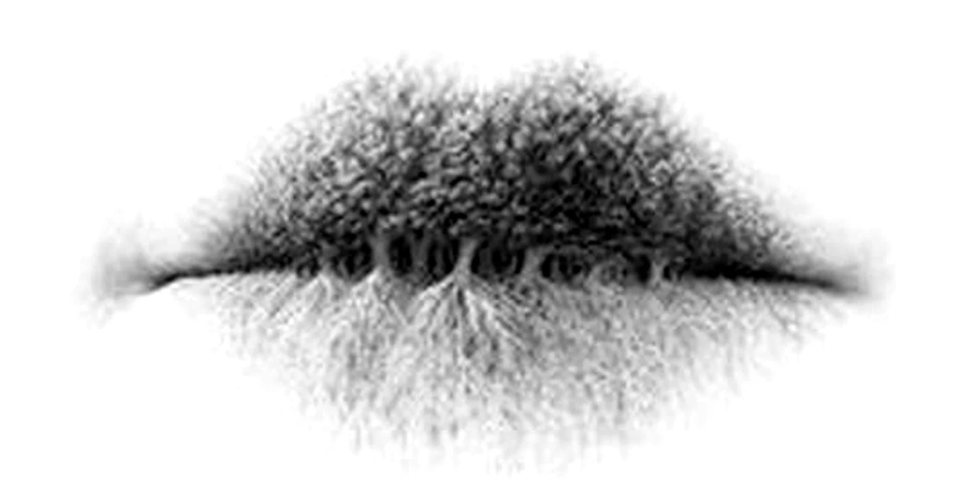 1 82840 original jpg png
