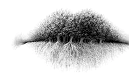 1 82840 original jpg png