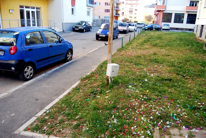 Romii au ştiut doar să chefuiască, nu să facă şi curăţenie (Foto: Brylu.ro)