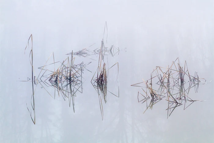 Savarsin Trist, colectia de fotografii a Principesei Sofia (8) jpeg