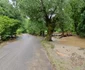 Inundatii pe Valea Zlastiului din Hunedoara Foto Daniel Guță ADEVĂRUL (26) jpg