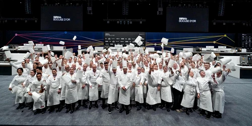 bocuse bucatarie competitie png