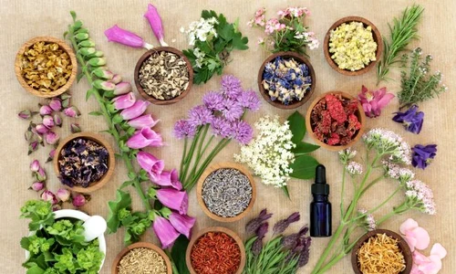 1 shutterstock 1091827718 jpg jpeg