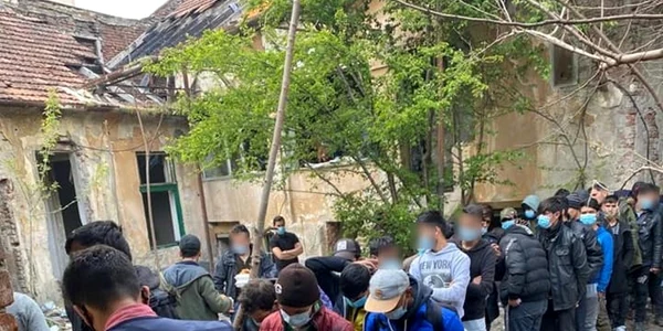refugiaţi Timişoara FOTO Logs